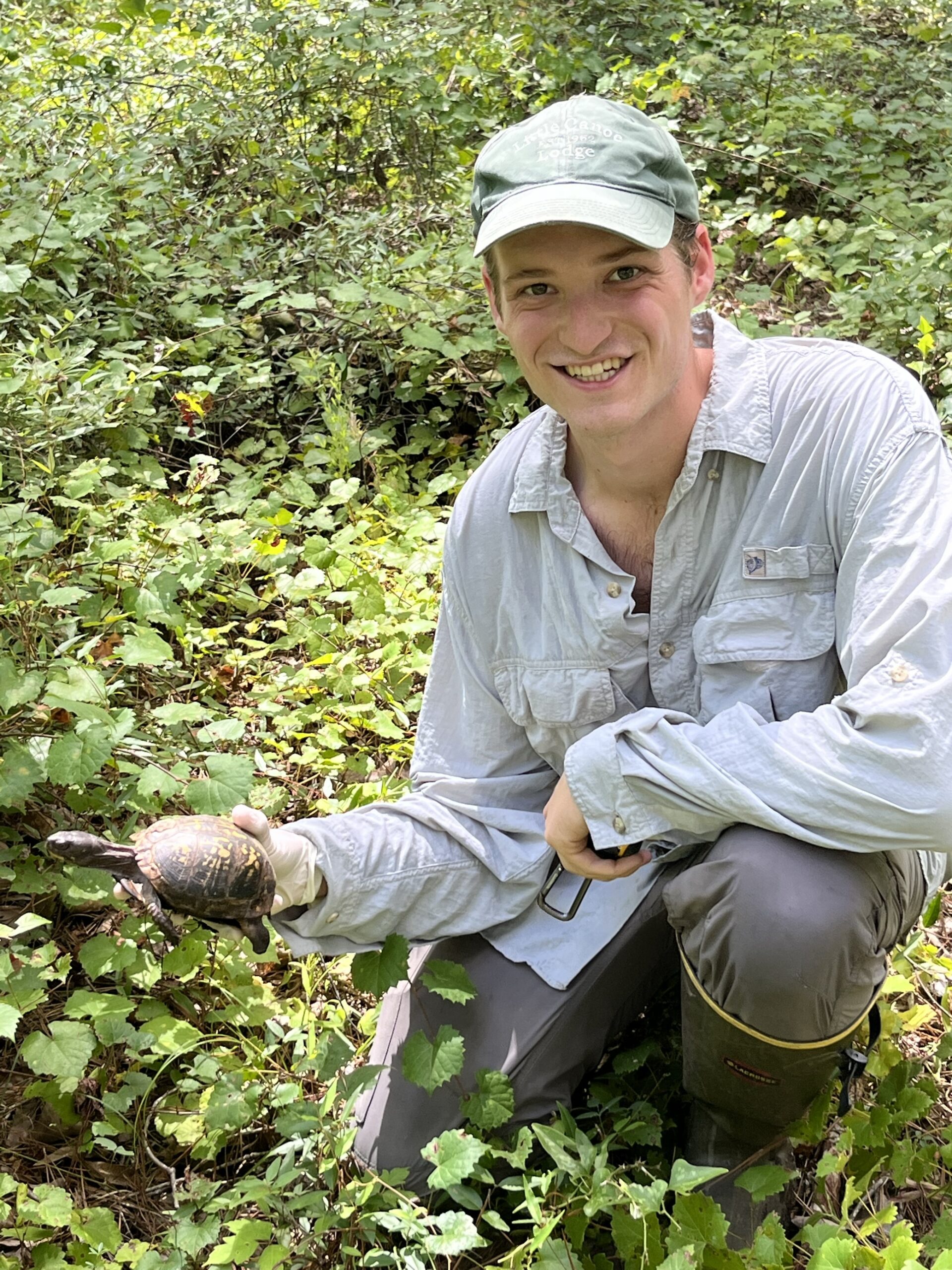 Ryan Rimple can be seen holding an Eastern Box Turtle he helped reacclimate to its new environment. (Photo courtesy of Tracey Tuberville)