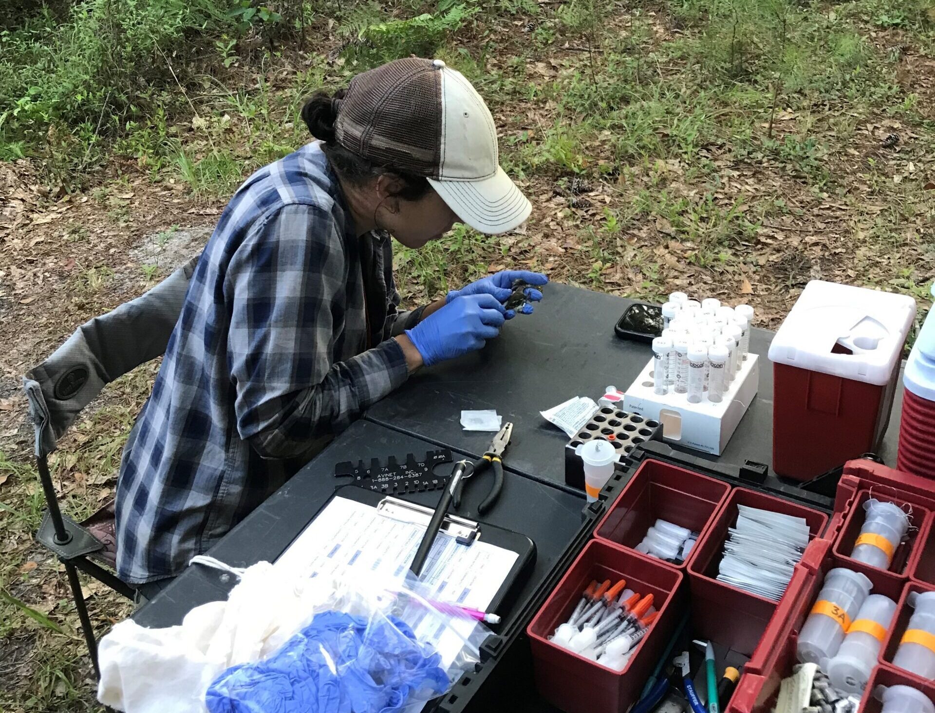 A person wearing gloves and a cap works with lab materials at a table in a wooded outdoor area, surrounded by scientific equipment and supplies, studying Selenium levels in wild birds.