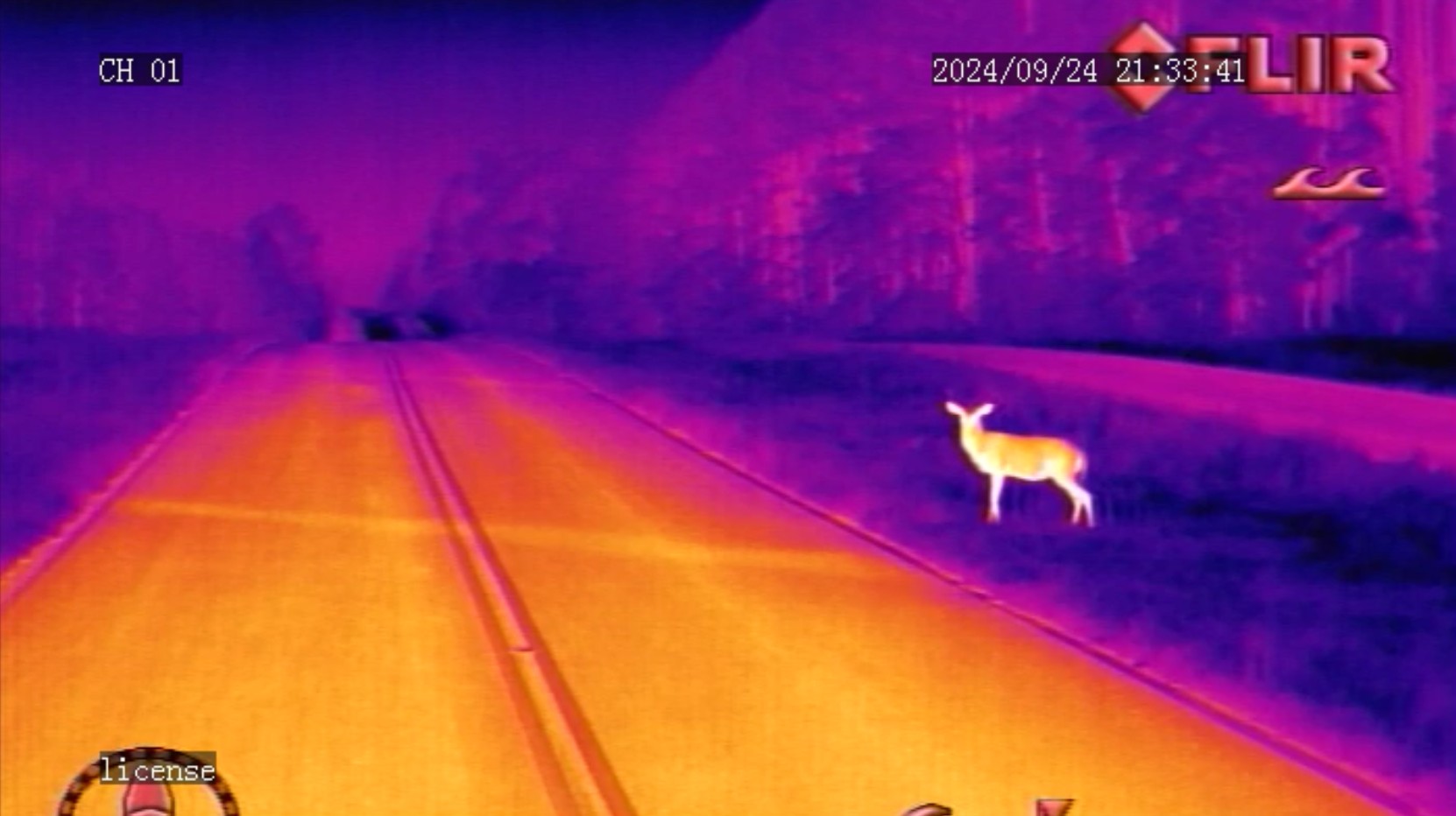 Thermal image of a deer standing beside a road at night, highlighting nighttime road safety, with the date and time displayed as 2024/09/24 21:33:41 in the top right corner.