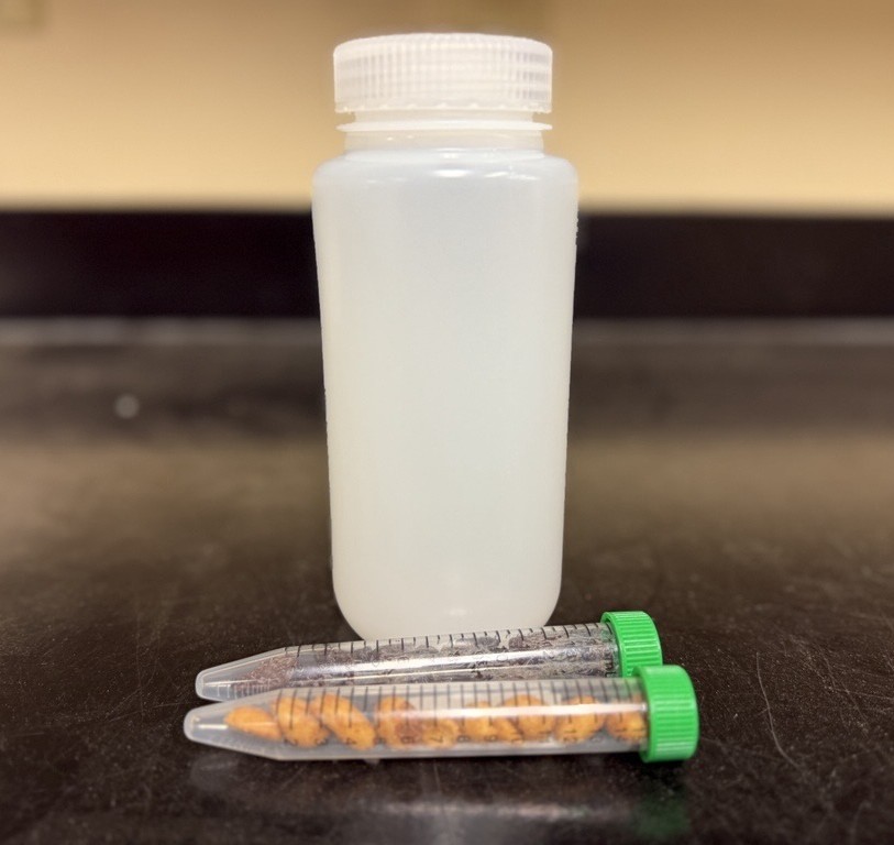 A translucent plastic bottle with a white cap stands behind two capped vials, each containing several brown insect specimens, on a dark surface—tools often used in exposure modeling or PFAS exposure studies.