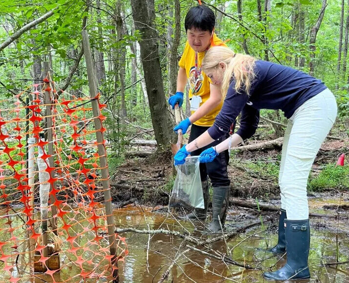 Two people, including a faculty and scientist at SREL, wearing boots and gloves collect a sample from a shallow, muddy area in a forest near an orange safety fence.