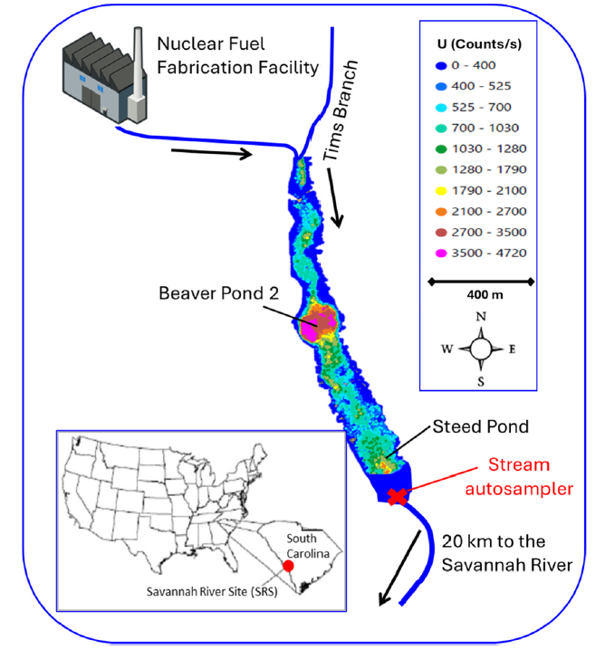 Map showing uranium counts in Tims Branch near a nuclear fuel facility, with color-coded levels, key locations labeled, and an inset map of South Carolina highlighting the studied wetland area. The data reflect variations following periods of heavy rain, offering insight into how precipitation influences uranium distribution.